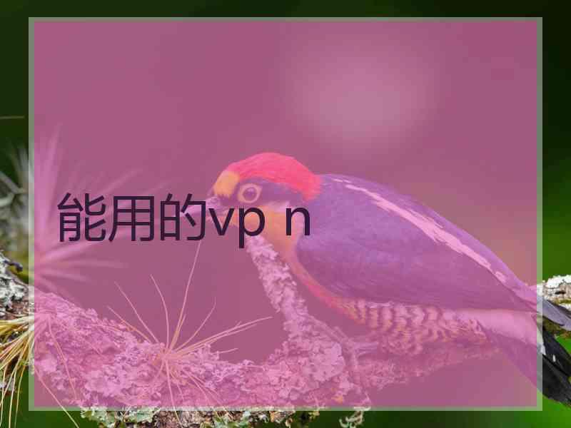 能用的vp n