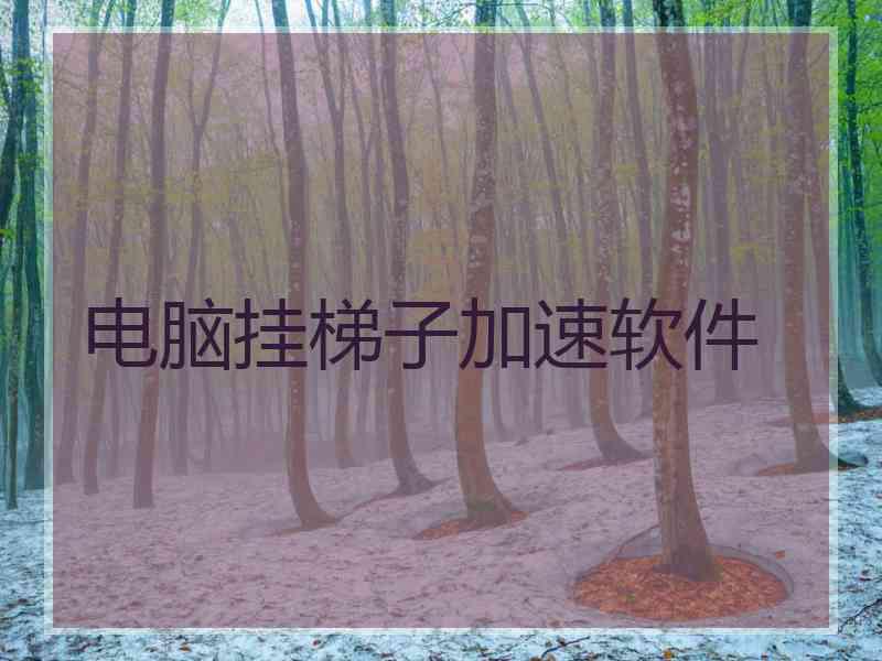 电脑挂梯子加速软件