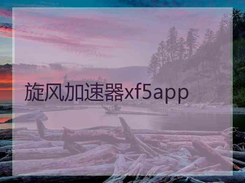 旋风加速器xf5app