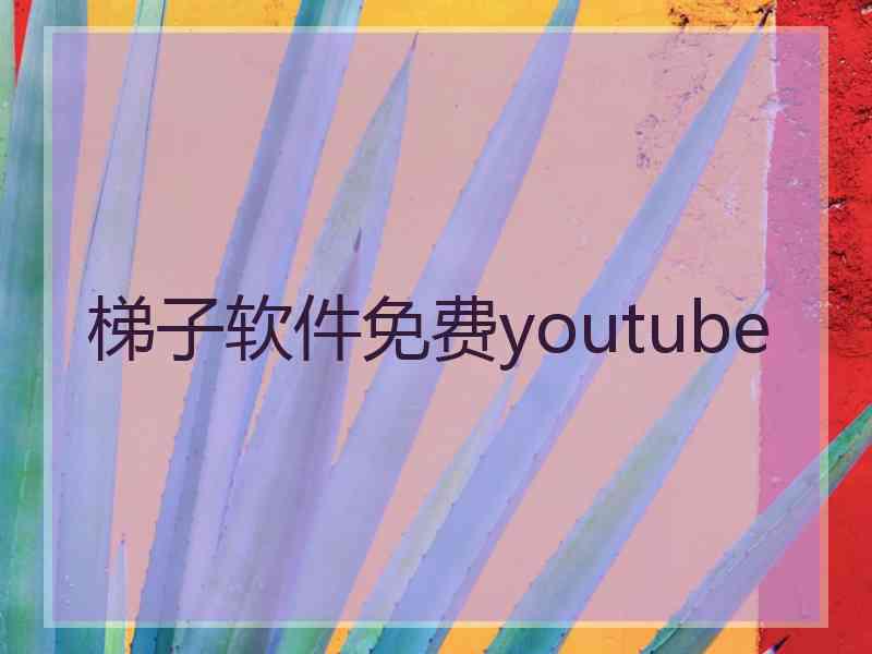 梯子软件免费youtube