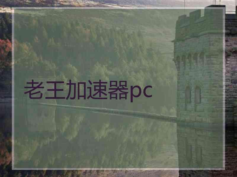 老王加速器pc