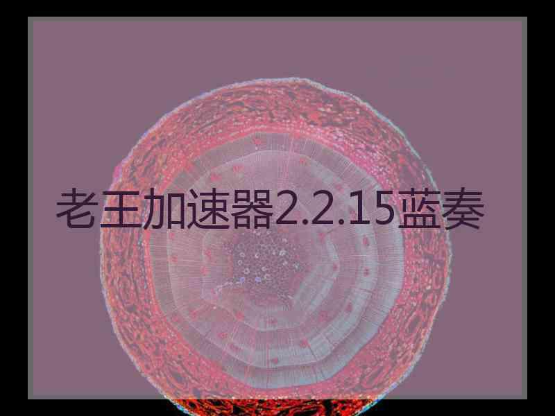 老王加速器2.2.15蓝奏