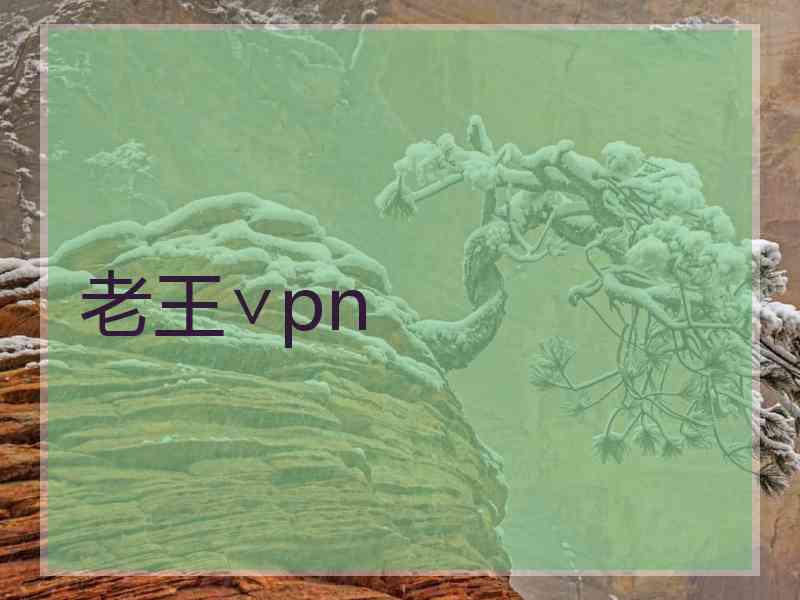 老王∨pn