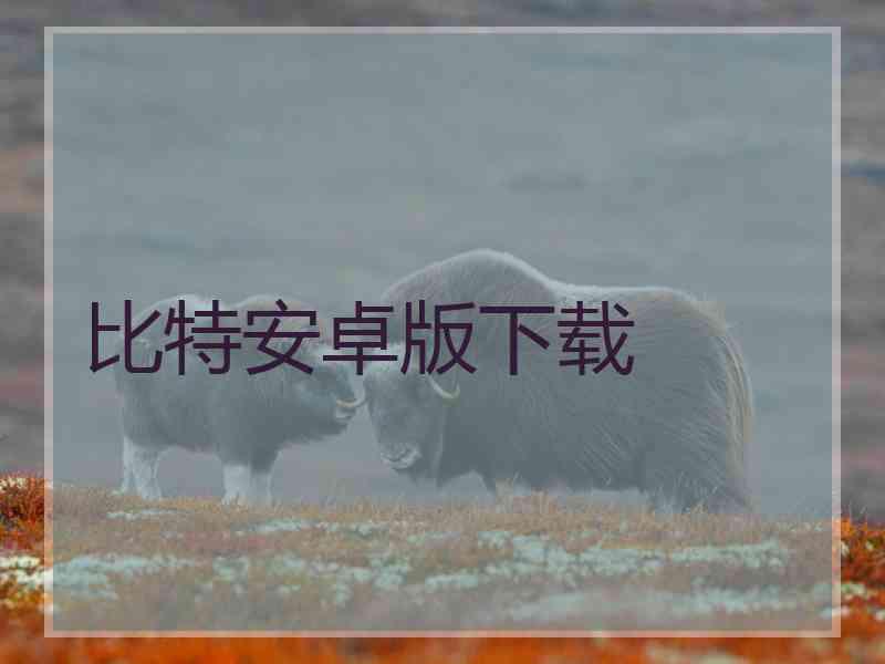 比特安卓版下载