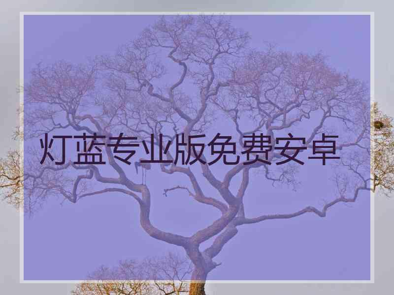 灯蓝专业版免费安卓
