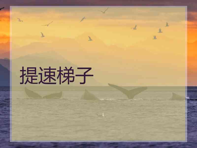提速梯子