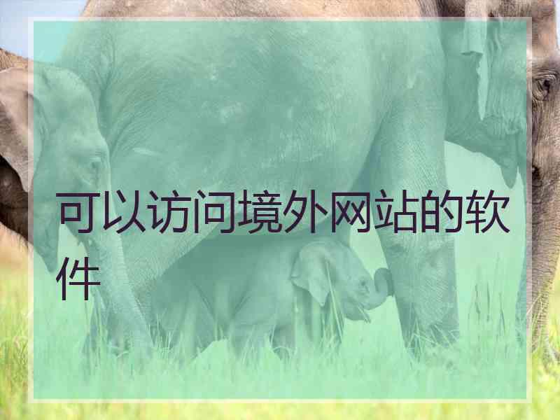可以访问境外网站的软件