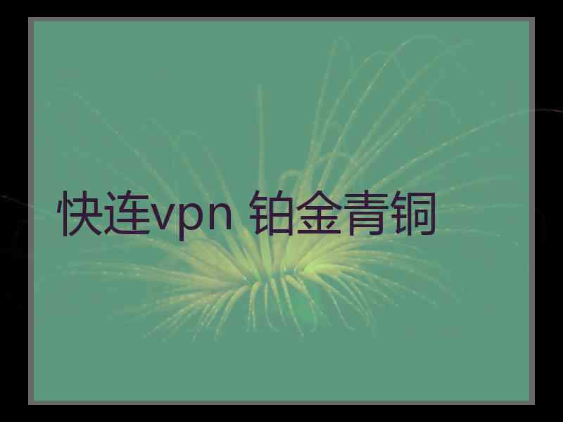 快连vpn 铂金青铜