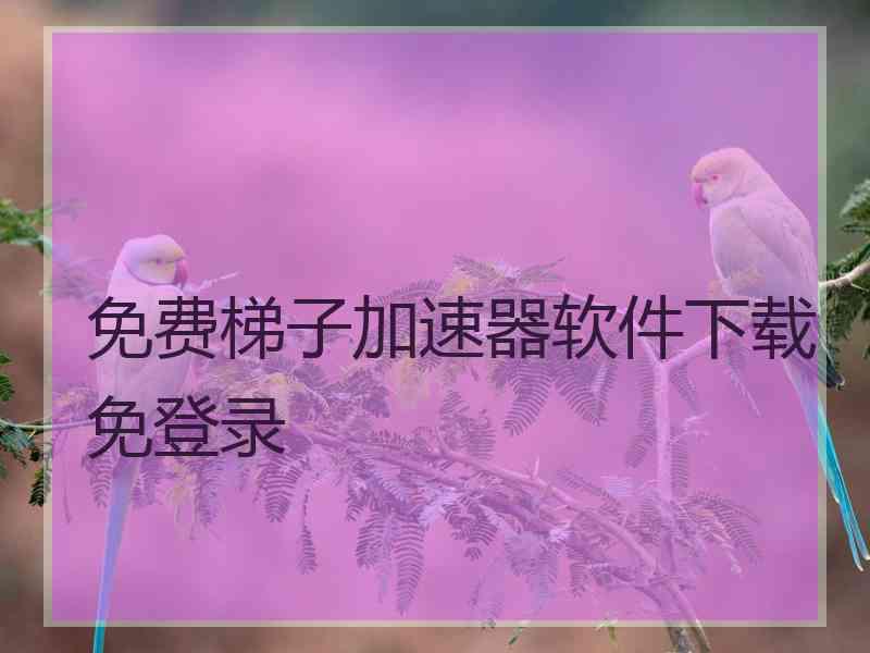 免费梯子加速器软件下载免登录
