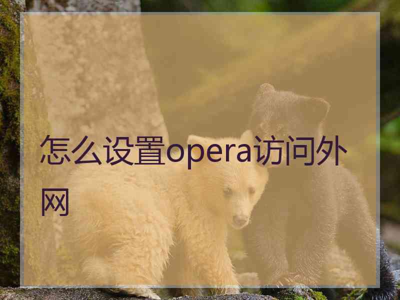 怎么设置opera访问外网