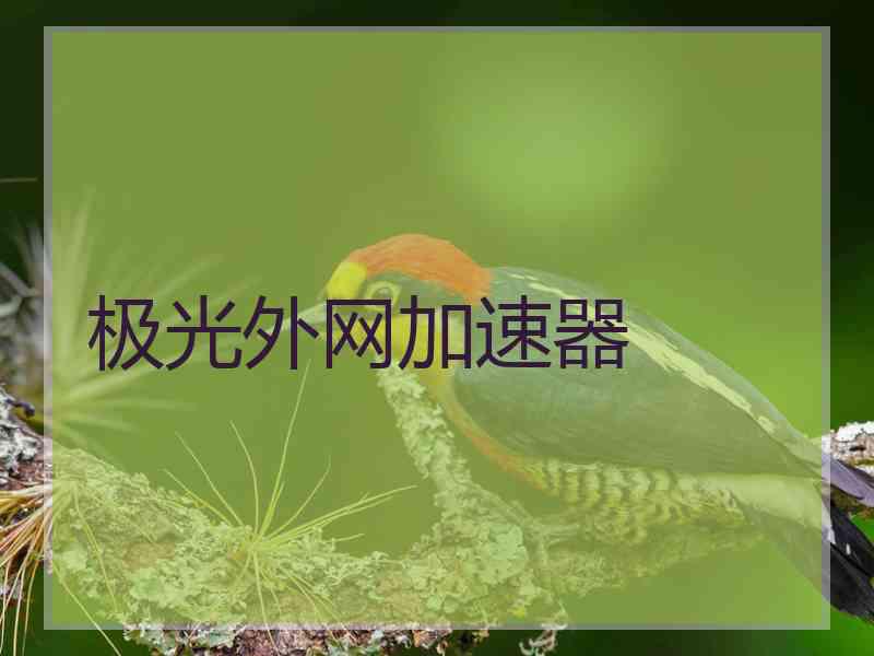 极光外网加速器