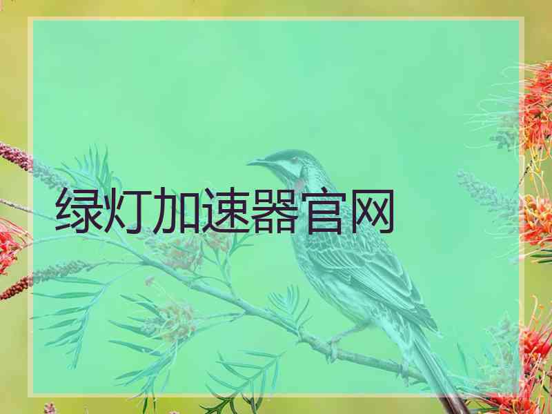 绿灯加速器官网