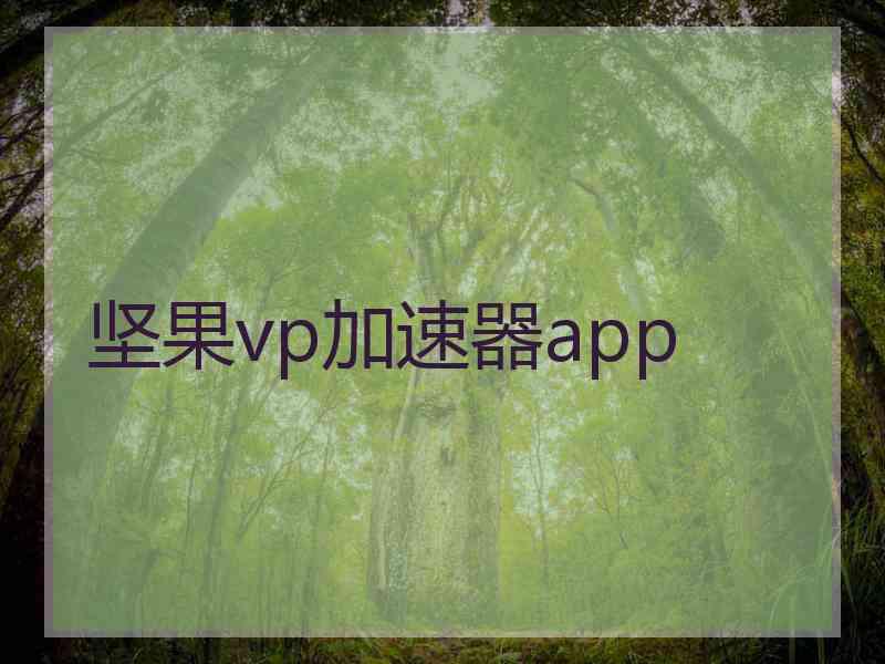 坚果vp加速器app