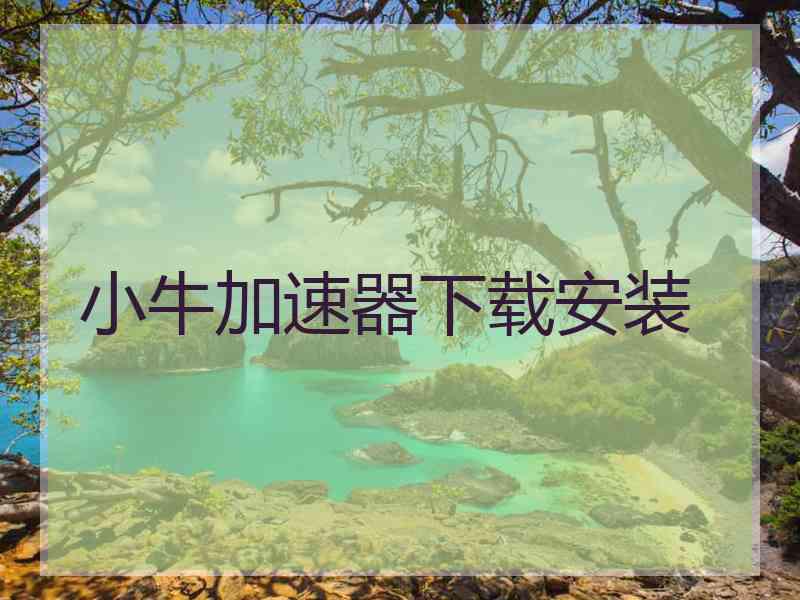 小牛加速器下载安装