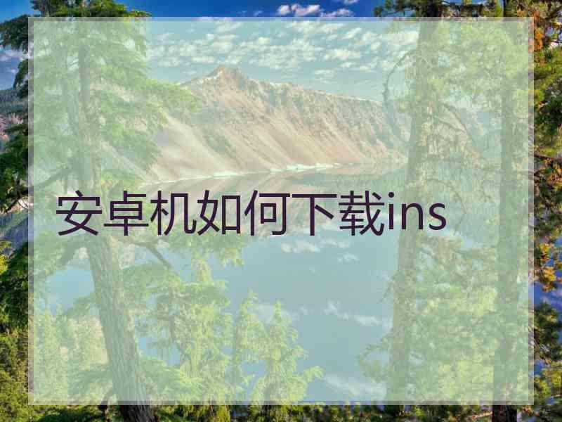 安卓机如何下载ins