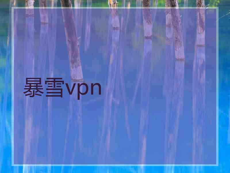 暴雪vpn