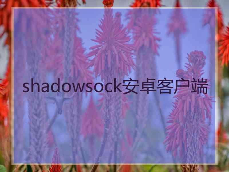 shadowsock安卓客户端