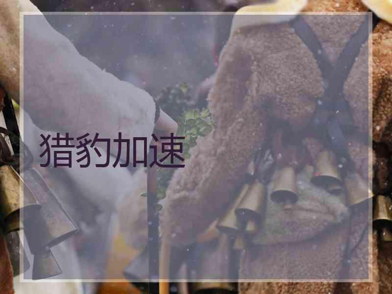 猎豹加速