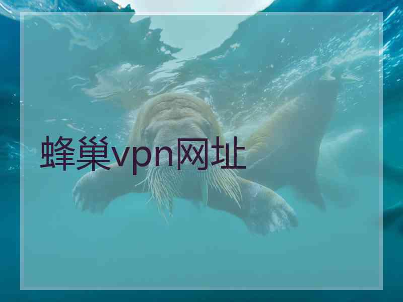 蜂巢vpn网址
