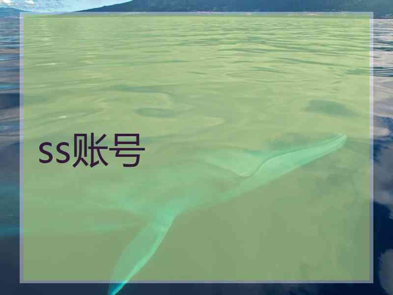ss账号