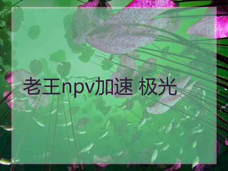 老王npv加速 极光