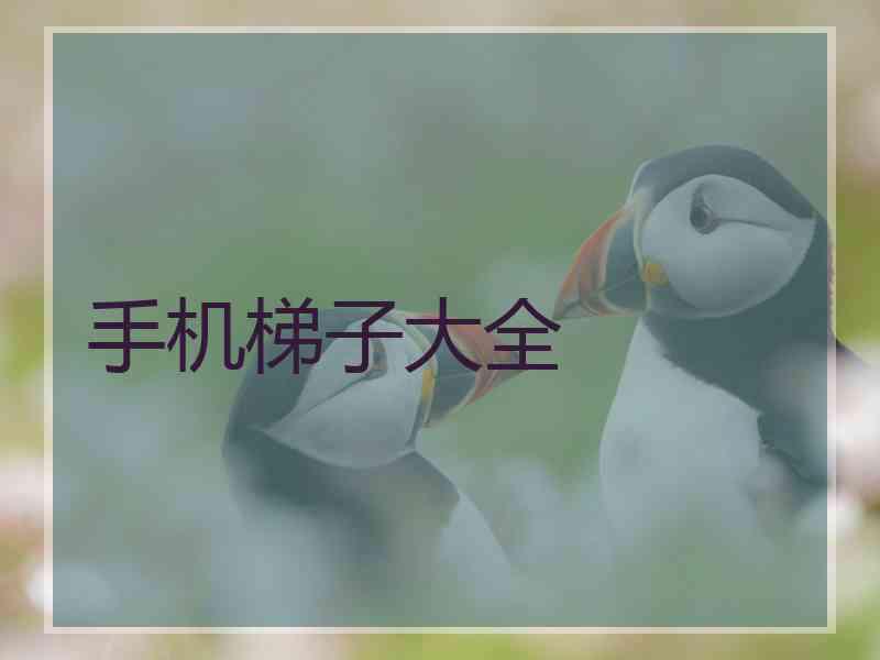 手机梯子大全