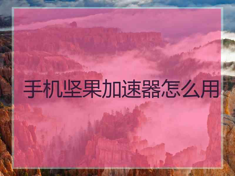 手机坚果加速器怎么用