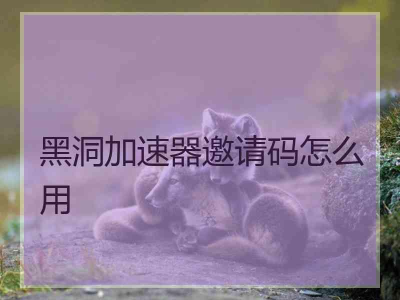 黑洞加速器邀请码怎么用