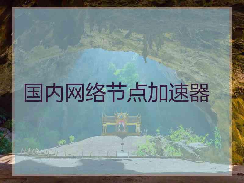 国内网络节点加速器