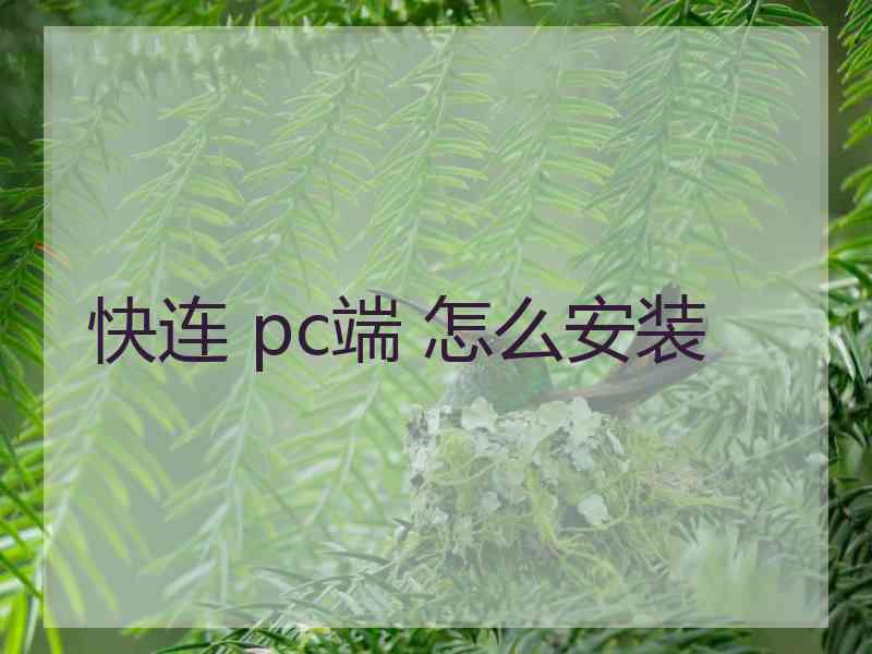 快连 pc端 怎么安装