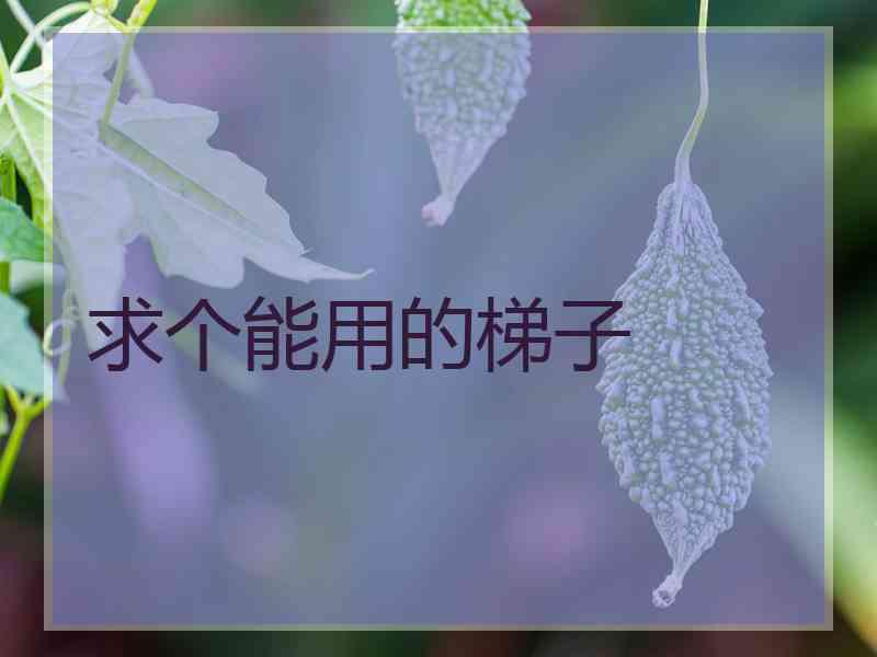 求个能用的梯子