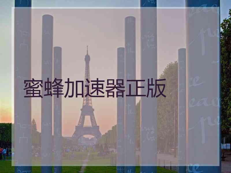 蜜蜂加速器正版