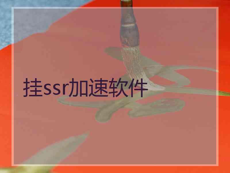 挂ssr加速软件