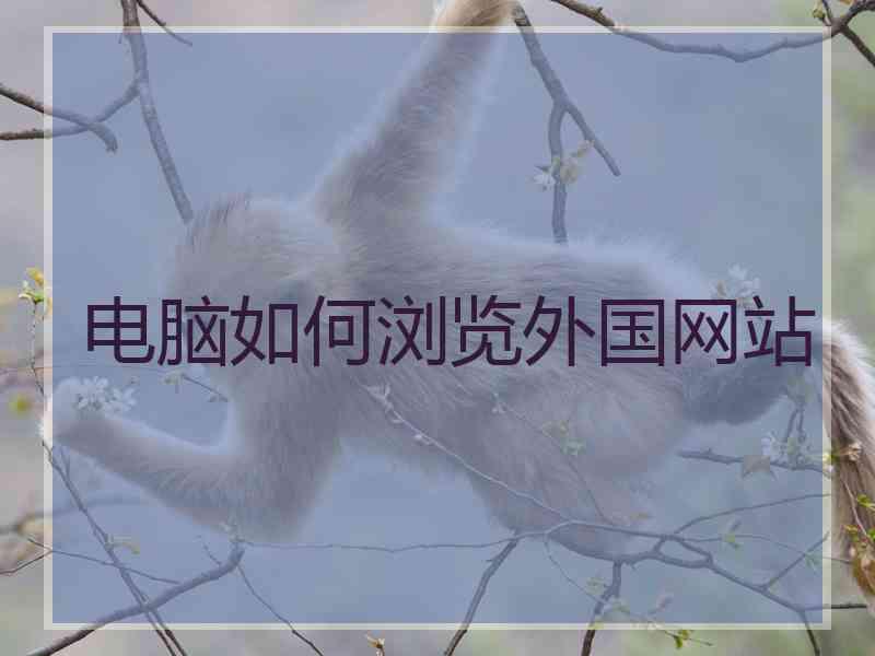 电脑如何浏览外国网站