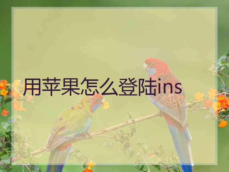 用苹果怎么登陆ins