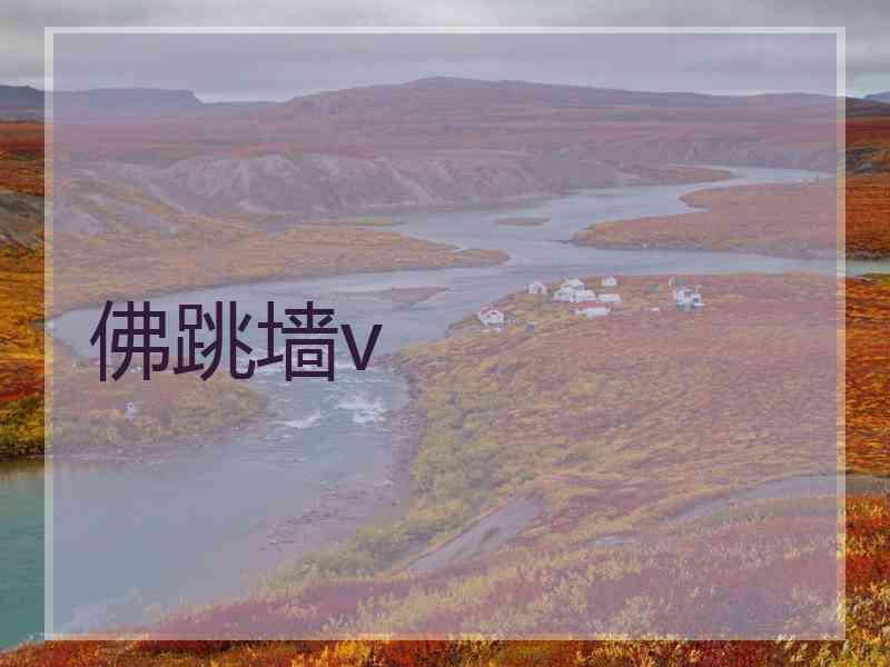 佛跳墙v
