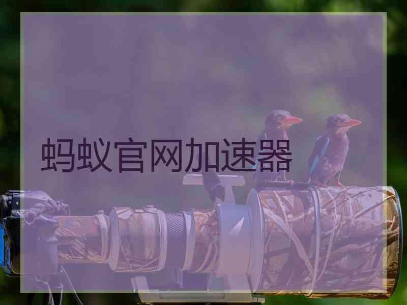 蚂蚁官网加速器