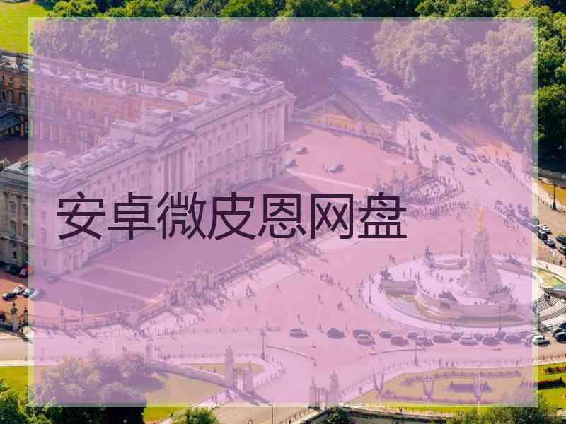 安卓微皮恩网盘