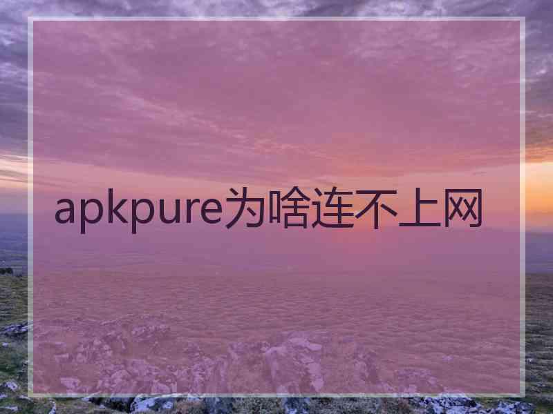 apkpure为啥连不上网