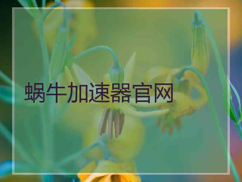 蜗牛加速器官网