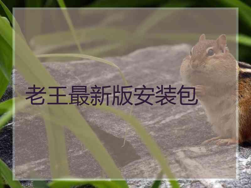 老王最新版安装包
