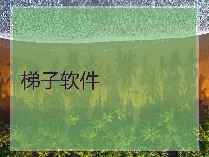 梯子软件