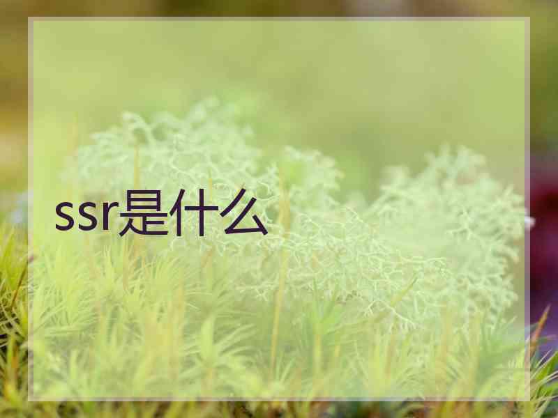 ssr是什么