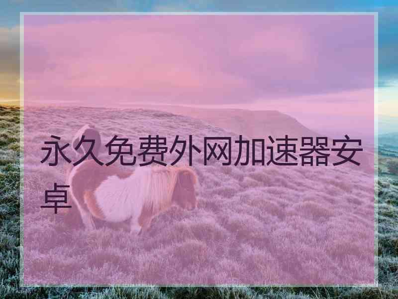 永久免费外网加速器安卓