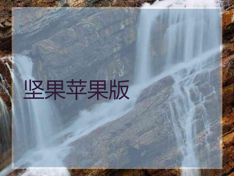坚果苹果版