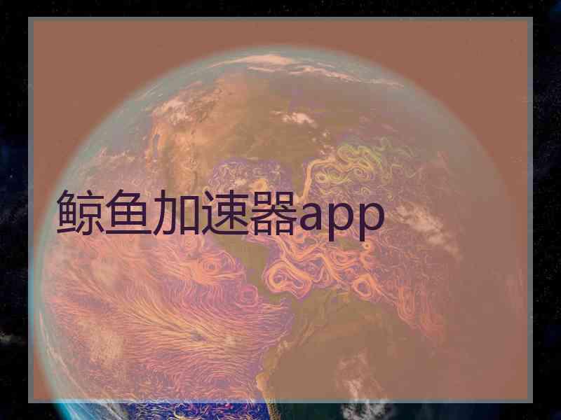 鲸鱼加速器app