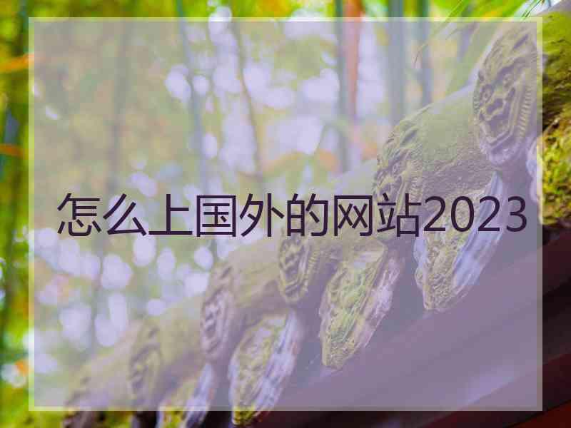 怎么上国外的网站2023
