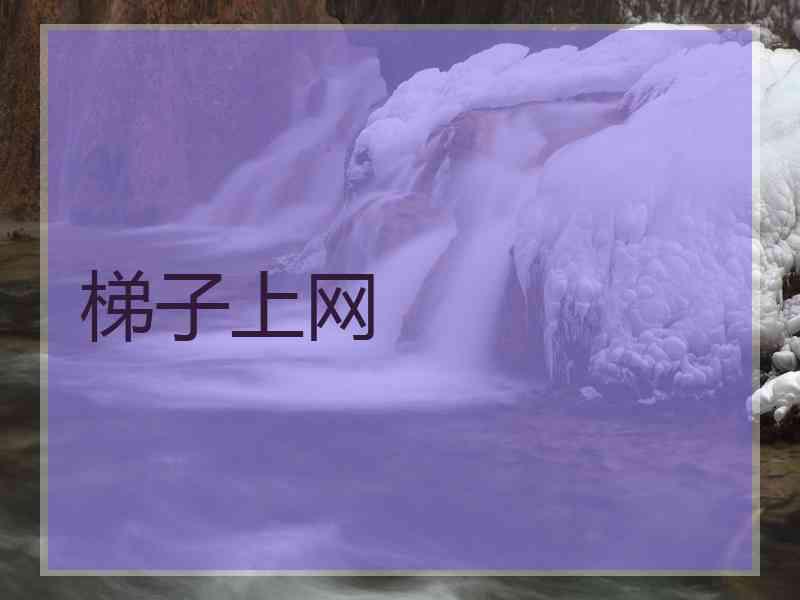 梯子上网