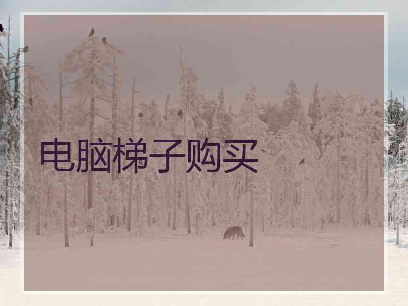 电脑梯子购买