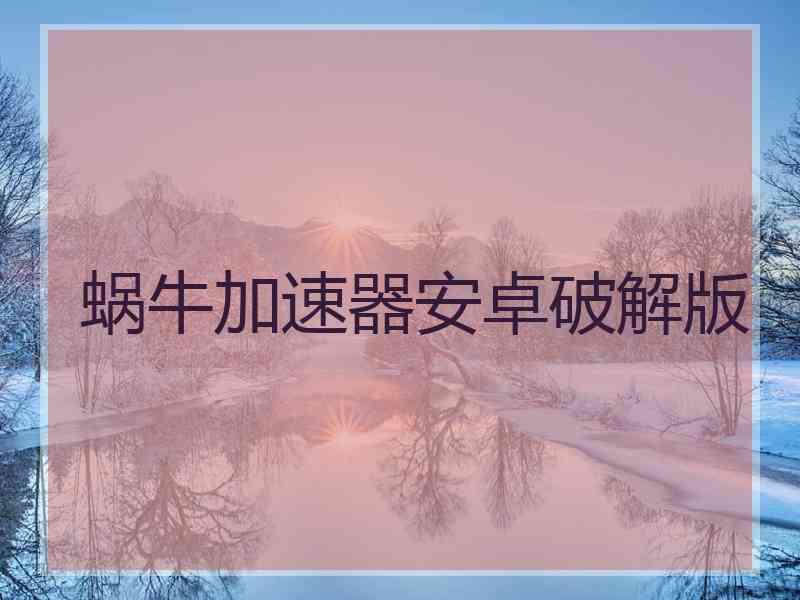蜗牛加速器安卓破解版